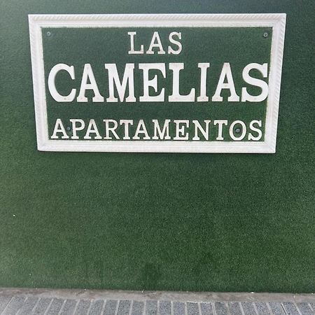 Yumbo Appartamenti Las Camelias Playa Del Ingles المظهر الخارجي الصورة
