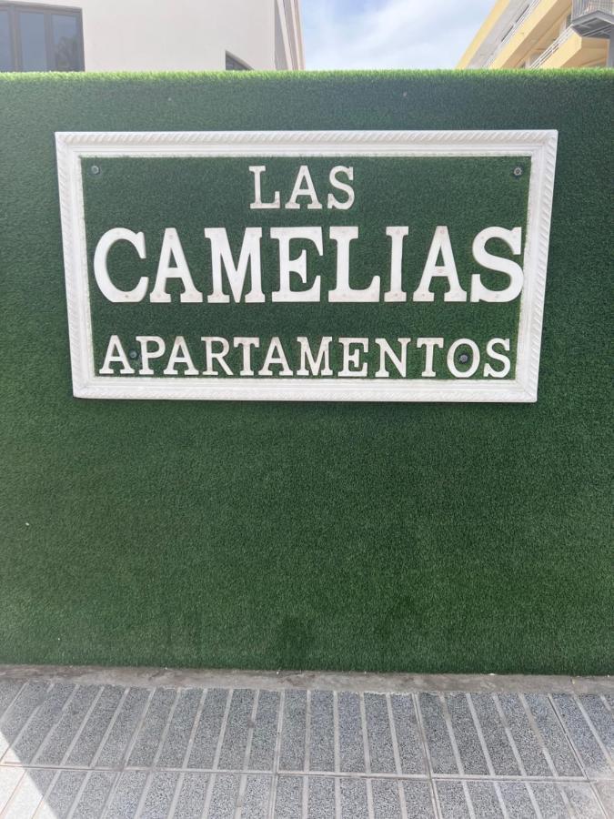 Yumbo Appartamenti Las Camelias Playa Del Ingles المظهر الخارجي الصورة